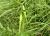 Img.VTax2294.Ex1.Img2