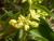Img.VTax2294.Ex1.Img4