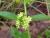 Img.VTax2294.Ex1.Img5