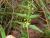 Img.VTax2294.Ex1.Img6