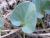 Img.VTax2297.Ex1.Img1