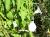 Img.VTax2298.Ex1.Img1
