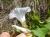 Img.VTax2298.Ex1.Img2