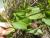 Img.VTax2298.Ex1.Img3