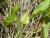 Img.VTax2298.Ex1.Img5