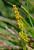 Img.VTax23.Ex1.Img1