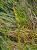 Img.VTax23.Ex1.Img3