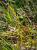 Img.VTax23.Ex1.Img4