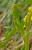 Img.VTax23.Ex1.Img5