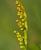 Img.VTax23.Ex1.Img6