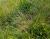 Img.VTax23.Ex1.Img7