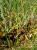 Img.VTax23.Ex1.Img8