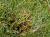 Img.VTax23.Ex1.Img9
