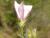 Img.VTax2308.Ex1.Img1