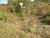 Img.VTax2308.Ex1.Img2