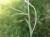 Img.VTax2308.Ex1.Img3