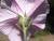 Img.VTax2308.Ex1.Img6
