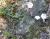 Img.VTax2308.Ex1.Img7