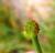 Img.VTax231.Ex3.Img7
