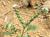 Img.VTax2320.Ex2.Img3
