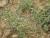 Img.VTax2320.Ex2.Img5