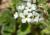 Img.VTax2320.Ex2.Img6