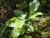 Img.VTax2351.Ex2.Img1