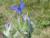 Img.VTax2353.Ex1.Img1