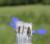 Img.VTax2353.Ex1.Img3