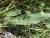 Img.VTax2353.Ex1.Img4