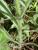 Img.VTax2353.Ex1.Img5