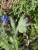 Img.VTax2353.Ex1.Img6