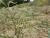 Img.VTax2353.Ex2.Img1