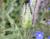 Img.VTax2353.Ex2.Img3