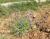 Img.VTax2353.Ex2.Img6