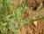 Img.VTax2353.Ex2.Img7