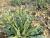 Img.VTax2353.Ex2.Img9