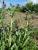 Img.VTax2354.Ex1.Img3
