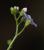 Img.VTax2360.Ex1.Img1