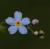 Img.VTax2360.Ex1.Img2