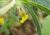 Img.VTax2379.Ex1.Img3