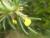 Img.VTax2379.Ex1.Img4