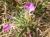 Img.VTax2380.Ex2.Img1