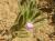 Img.VTax2380.Ex2.Img3