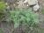 Img.VTax2384.Ex2.Img1