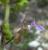 Img.VTax2384.Ex2.Img3