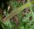 Img.VTax2384.Ex2.Img5