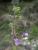 Img.VTax2384.Ex2.Img6