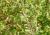 Img.VTax2384.Ex3.Img2