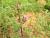Img.VTax2384.Ex3.Img3